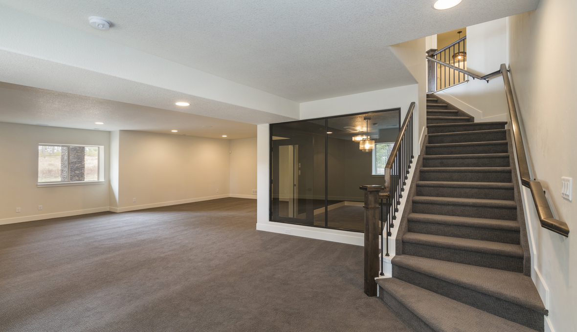 basement renovation with carpet