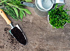 Planning an outdoor room