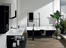 A monochrome bathroom style