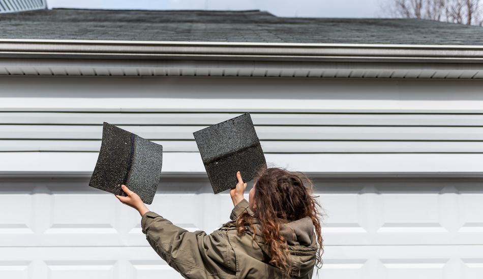 Contrasting Roof Extensions