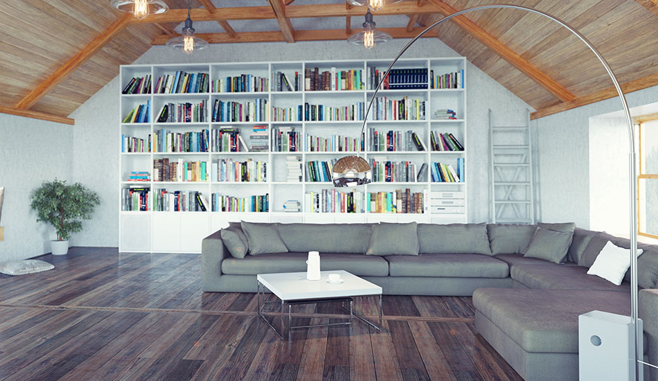 Living Space Conversions