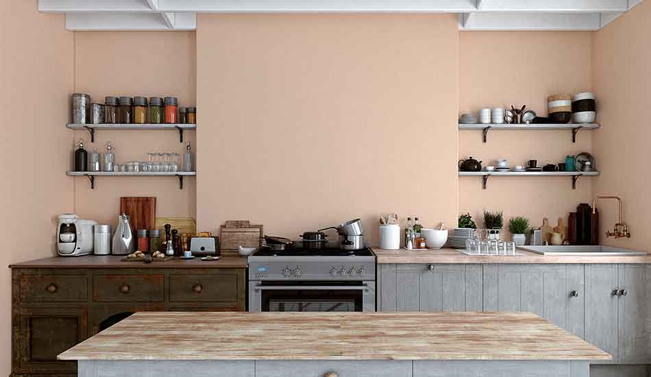 Condo Kitchen Remodels